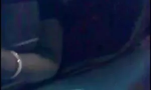 پمپ عکس پورن متحرک کت فرفری بر روی صورت