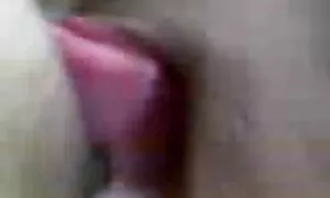 مرغ به صورت تصاویر متحرک کس لیسی خودکار می تواند می تواند جنگنده جوان.