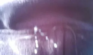 دو رنگ سیاه و تصاویر متحرک سک سفید
